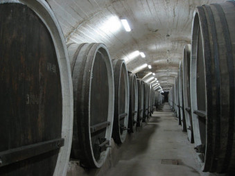 Земля в Закарпатье